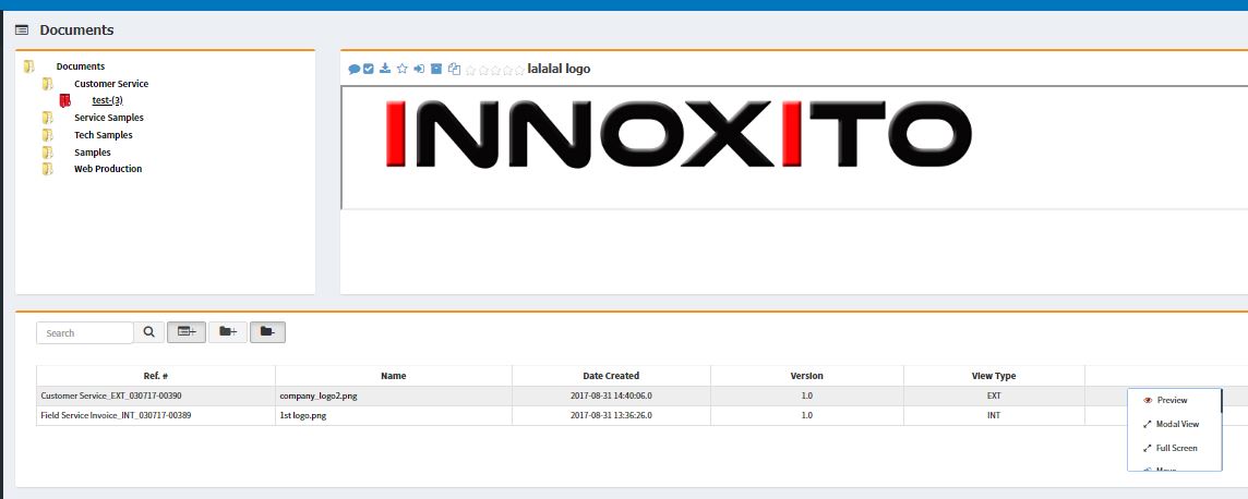 InfoBoost document preview sample